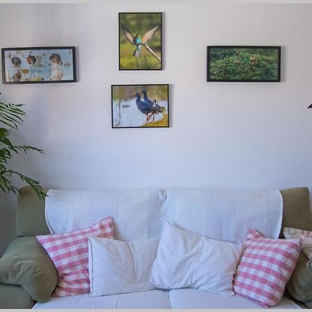 Casa de los Pájaros Siviglia Esterno foto