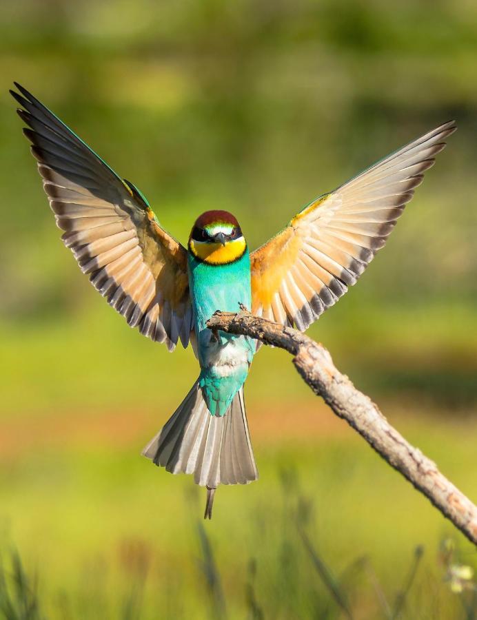 Casa de los Pájaros Siviglia Esterno foto